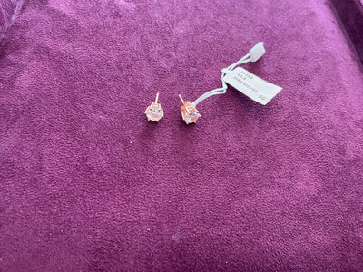 Ladies Earrings